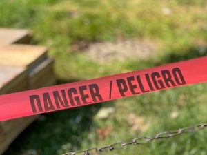 Wired for Danger:The Neurobiology of Stress and Relapse in Early Recovery