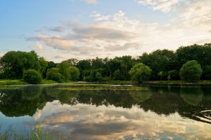 The Efficacy of Mindfulness-Based Programs in Early Addiction Recovery